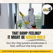 Trusted Mold Remediation Experts in Metro Atlanta,  Georgia